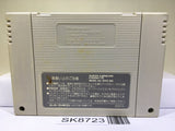 Final Fantasy IV 4 Nintendo Super Famicom SNES Japan - SK8723