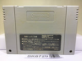 Super Tetris 2 + Bombliss Nintendo Super Famicom SNES Japan - SK8729