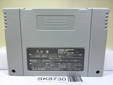 Super Nazo Puyo 2 Tsu Nintendo Super Famicom SNES Japan - SK8730