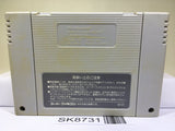 Dragon Ball Z Super Saiya Densetsu Nintendo Super Famicom SNES Japan - SK8731