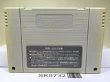 Dragon Ball Z Super Butouden 3 Nintendo Super Famicom SNES Japan - SK8732