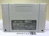 Dragon Ball Z Super Goku Den Totsugeki Hen Super Famicom SNES Japan - SK8733