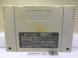 Street Fighter II 2 Turbo Nintendo Super Famicom SNES Japan - SK8739