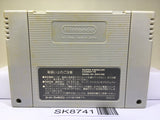 Romancing SaGa 2 Nintendo Super Famicom SNES Japan - SK8741