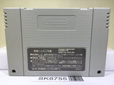 Chou Makaimura Super Ghouls 'n Ghosts Nintendo Super Famicom SNES Japan - SK8755