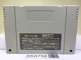 Sailor Moon Nintendo Super Famicom SNES Japan - SK8758