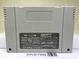 The Legend Of Zelda A Link to the Past Super Famicom SNES Japan - SK8766