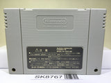 The Legend Of Zelda A Link to the Past Super Famicom SNES Japan - SK8767