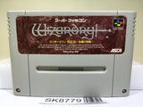 Wizardry Gaiden 4 Throb of the Demon'sHeart Super Famicom SNES Japan - SK8779