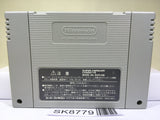 Wizardry Gaiden 4 Throb of the Demon'sHeart Super Famicom SNES Japan - SK8779