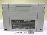 Super Donkey Kong Country 2 Nintendo Super Famicom SNES Japan - SK8785