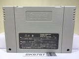 Super Donkey Kong Country 2 Nintendo Super Famicom SNES Japan - SK8787
