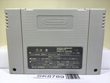 Super Donkey Kong Country 2 Nintendo Super Famicom SNES Japan - SK8789