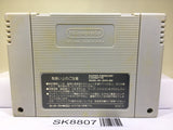 Super Mario World Nintendo Super Famicom SNES Japan - SK8807