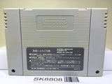 Super Mario World Nintendo Super Famicom SNES Japan - SK8808