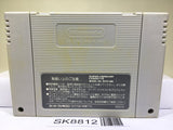 Super Mario World Nintendo Super Famicom SNES Japan - SK8812