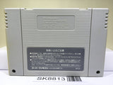 Super Mario World Nintendo Super Famicom SNES Japan - SK8813
