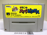 Mario's Super Picross Nintendo Super Famicom SNES Japan - SK8814