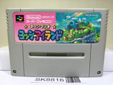 Super Mario World 2 Yoshi's Island Nintendo Super Famicom SNES Japan - SK8816