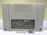Kirby Bowl Kirby's Dream Course Nintendo Super Famicom SNES Japan - SK8821