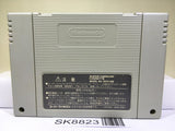 Kirby Super Deluxe Star Kirby's Fun Pak Super Famicom SNES Japan - SK8823