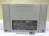 Super Bomberman Panic Bomber World Nintendo Super Famicom SNES Japan - SK8829