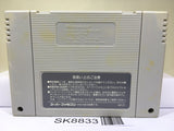 Emerald Dragon Nintendo Super Famicom SNES Japan - SK8833