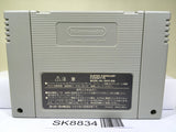 Puzzle Bobble Nintendo Super Famicom SNES Japan - SK8834