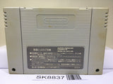 Star Fox Nintendo Super Famicom SNES Japan - SK8837
