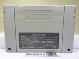 Takahashi Meijin no Daibouken Jima Nintendo Super Famicom SNES Japan - SK8843