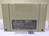 Seiken Densetsu 2 Secret of Mana Nintendo Super Famicom SNES Japan - SK8868