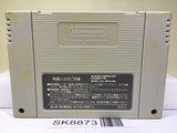 Dear Boys Nintendo Super Famicom SNES Japan - SK8873