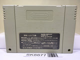 Human Grand Prix IV F1 Dream Battle Racing Super Famicom SNES Japan - SK8877