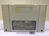Zen Nippon ProWrestling Nintendo Super Famicom SNES Japan - SK8886