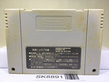 Dragon Ball Z Super Butouden 3 Nintendo Super Famicom SNES Japan - SK8891