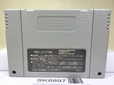 Dragon Ball Z Super Goku Den Totsugeki Hen Super Famicom SNES Japan - SK8897