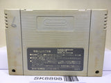 Fatal Fury Nintendo Super Famicom SNES Japan - SK8898