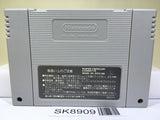 Chou Makaimura Super Ghouls 'n Ghosts Nintendo Super Famicom SNES Japan - SK8909