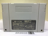 Super Donkey Kong Country Nintendo Super Famicom SNES Japan - SK8935