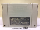Super Donkey Kong Country Nintendo Super Famicom SNES Japan - SK8942