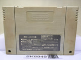 Super Mario Collection All Stars Nintendo Super Famicom SNES Japan - SK8949