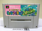 Super Mario World 2 Yoshi's Island Nintendo Super Famicom SNES Japan - SK8961
