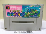 Super Mario World 2 Yoshi's Island Nintendo Super Famicom SNES Japan - SK8963