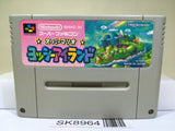 Super Mario World 2 Yoshi's Island Nintendo Super Famicom SNES Japan - SK8964