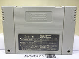 Final Fight Guy Nintendo Super Famicom SNES Japan - SK8971