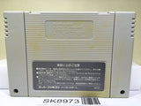 The Great Battle II 2 Last Fighter Twin Super Famicom SNES Japan - SK8973
