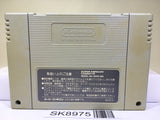 The Legend Of Zelda A Link to the Past Super Famicom SNES Japan - SK8975
