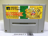 Kirby Super Deluxe Star Kirby's Fun Pak Super Famicom SNES Japan - SK8977