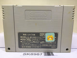 Wagyan Paradise Land Nintendo Super Famicom SNES Japan - SK8987