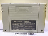 Estpolis Denki II 2 Lufia Nintendo Super Famicom SNES Japan - SK8988